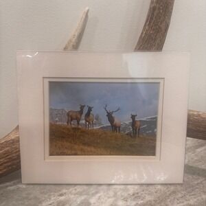 Eric Kottmann Signed Photo Print High Contry Elk Montana Wildlife Art
